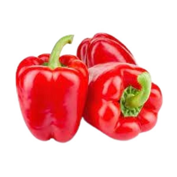 Red Capsicum Pepper, Regular