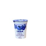Jesa fruit yoghurt blueberry 150ml