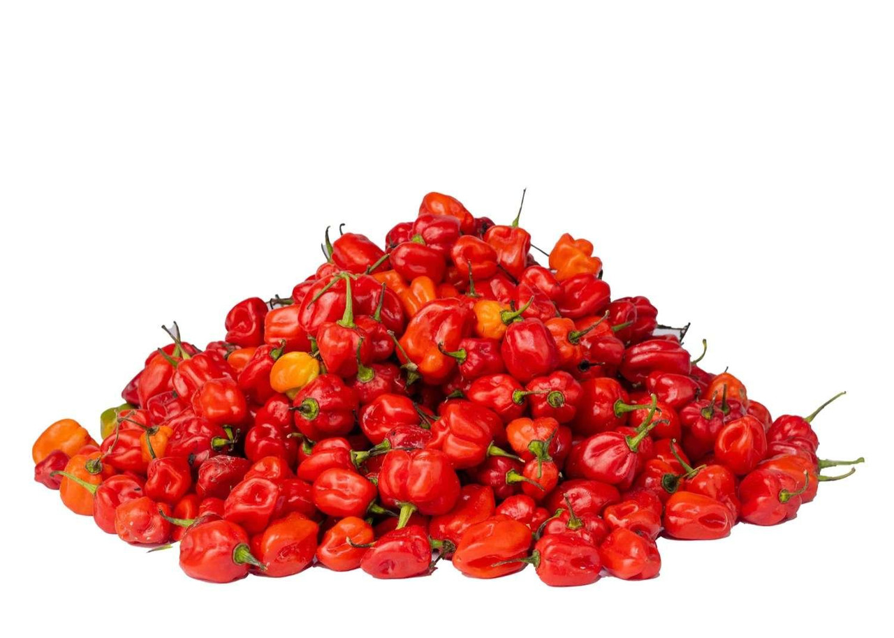 Blend Pepper - Tatase Grade B (Quarter Bag, 6.25Kg)