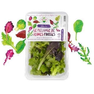 Légume JP MESCLUN 125G AV