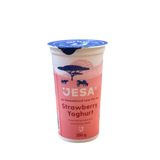Jesa Drinking Yoghurt S/Berry250M