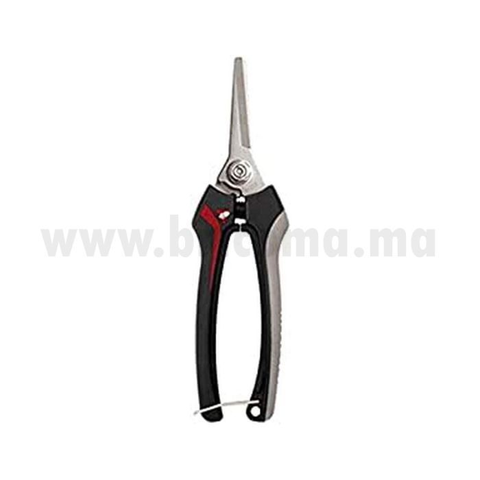 Outils de jardin.