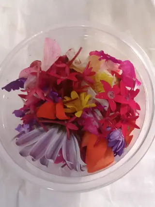 Edible Flowers