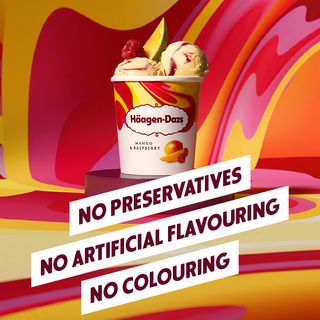 H.DAZS POT SORB MANG/FRAMB 100ML