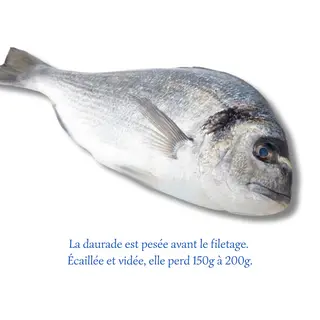 Daurade Royale (700g)