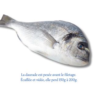 Daurade Royale (700g)