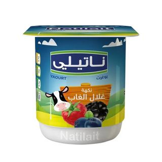 Yaourt Aromatisé Fruits Des Bois Natilait 100G