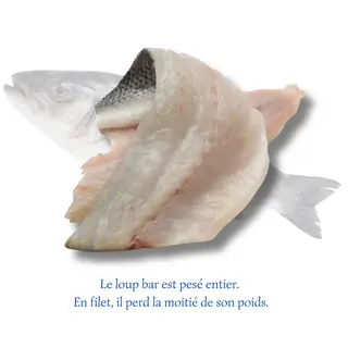 Filets de Bar (500g)