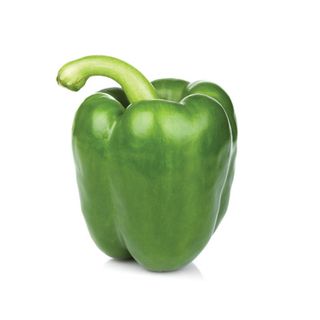 Poivron Carré Vert 500g