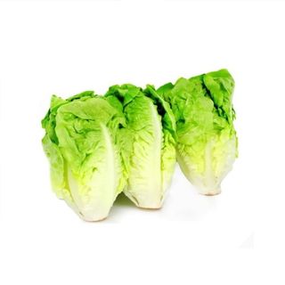 Salade Sucrine Verte