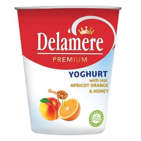 Delamere Premium Apricot Orange And Honey Yoghurt 250g