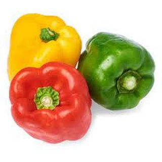Capsicum