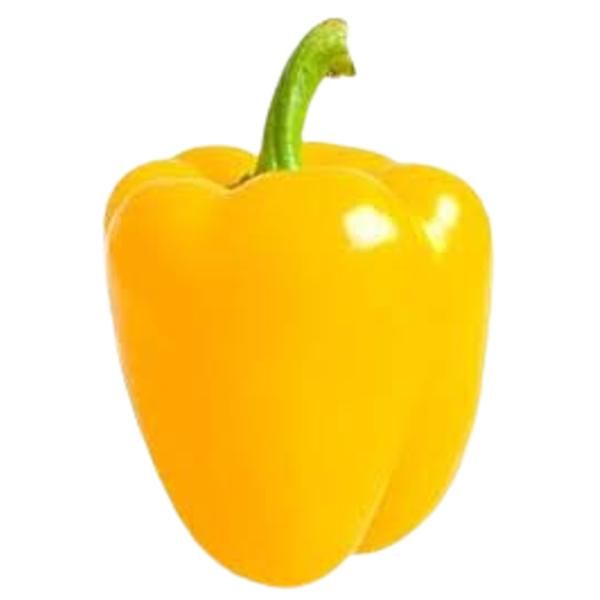 Yellow Pepper (Capsicum)