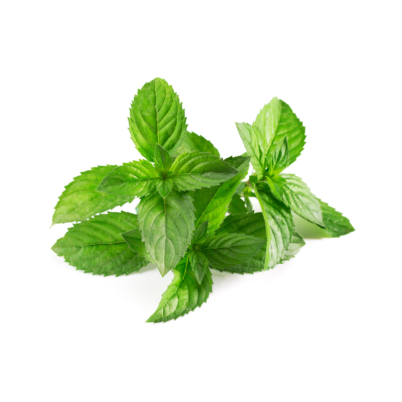 La menthe Meknès - Propriétés anti-inflammatoires