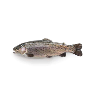 Truite Fraîche Barquette Double [360g-500g]