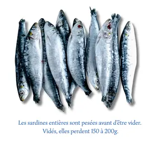 Sardines Fraîches (1 kg)