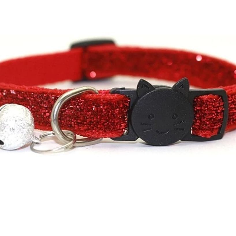 Collier Laisse et Harnais