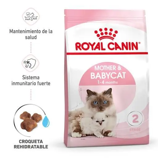 Croquettes Pour Chats