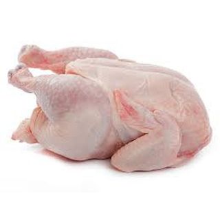 Chicken Broiler