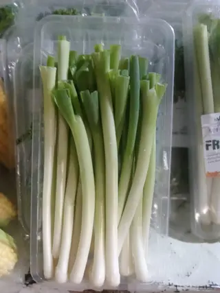 Salad Onion