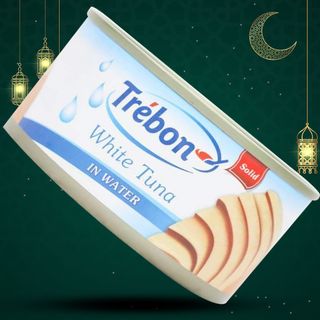 Offre Thon Blc Naturel 170G Trebon