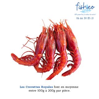 Crevettes Royales (500g)