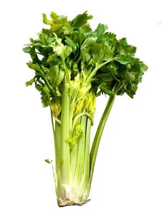 Celeri 500g
