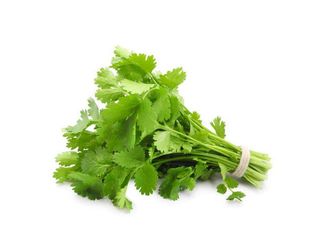 Fresh Cilantro, Loose