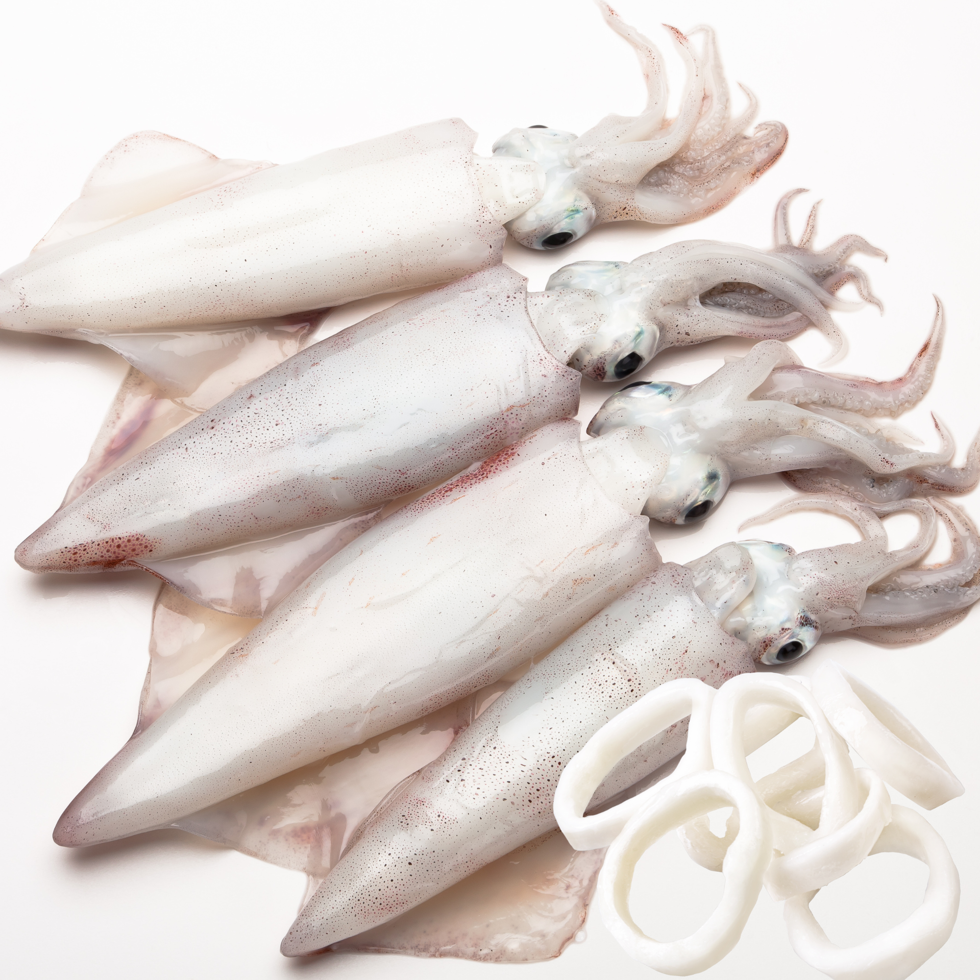 Calamars - 500 Gr