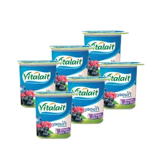 Yaourt Aromatise 100g Fruits De Bois Vitalait - 833