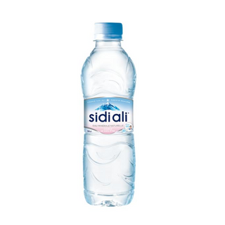 Sidi Ali Eau minérale 50cl