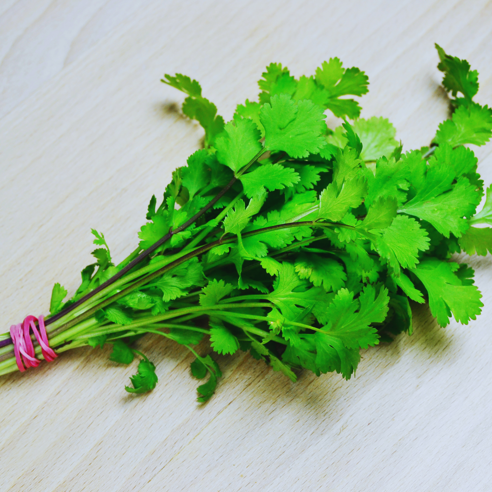 Persil Frais: Herbe Parfumée pour une Cuisine Savoureuse