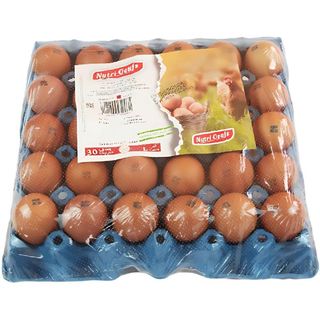 Plateau d'Oeufs Gros Calibre Ovocorp 30 unités