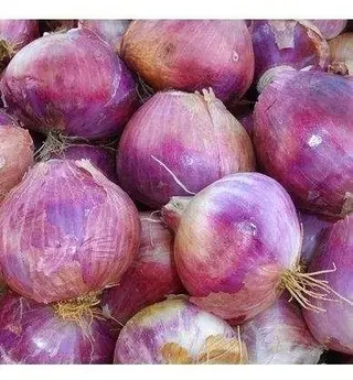 Kilo Oignons Niger