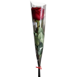 Fleur fraîche rouge – Spécial Saint-Valentin – Hauteur ±40 cm