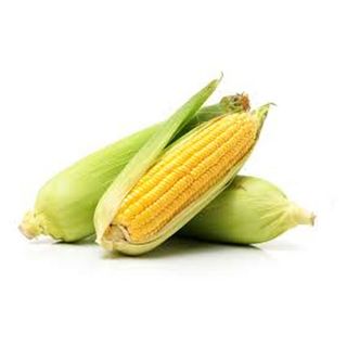 Maize