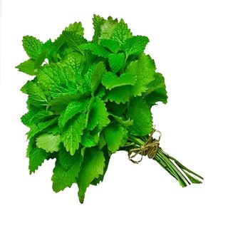 Menthe Botte