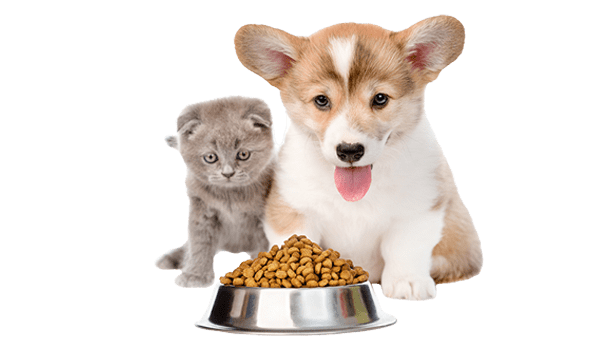 Repas bébé