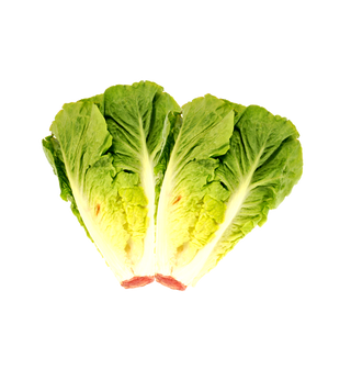 Salade romaine La pièce