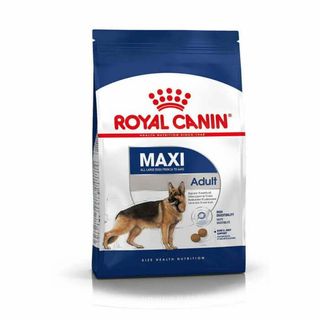 ROYAL CANIN CHIEN MAXI ADULT 4KG-759919-
