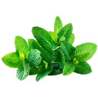 Menthe