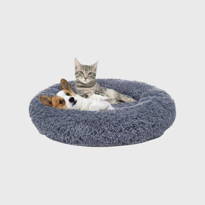 Lit & Couchage Chat & Chiens