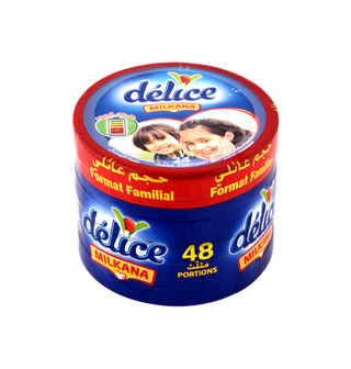Fromage fondu MILKANA 48 portions - 318