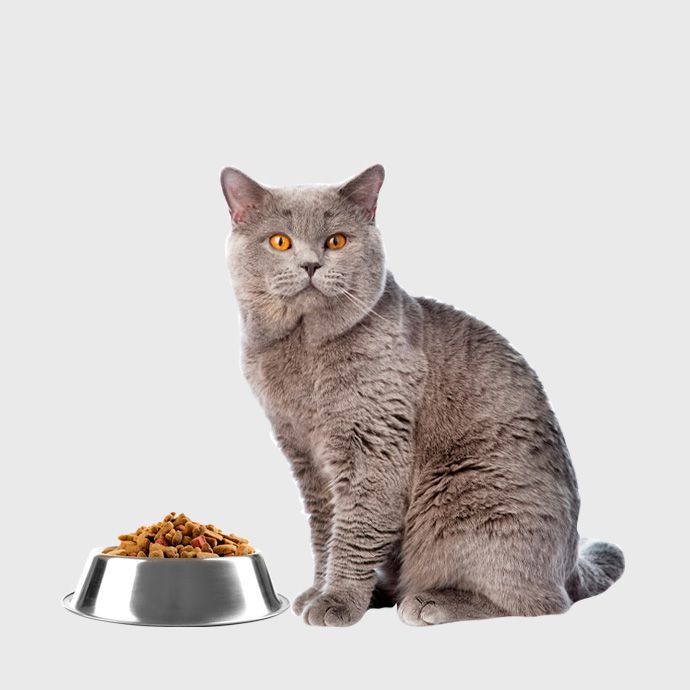Chats