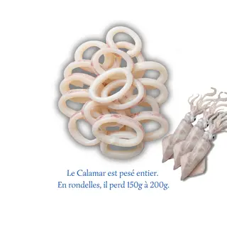 Calamar Rondelles (500g)