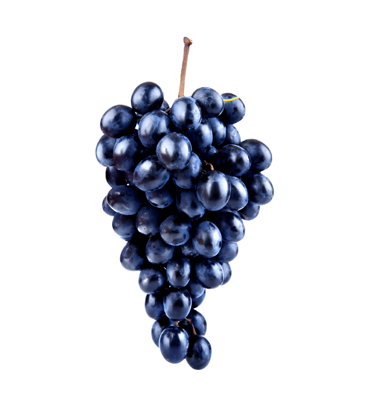 Fruits