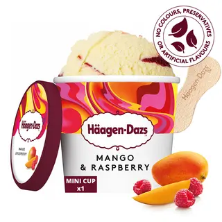 Häagen-Dazs Mini Pot Glace Mangue et Framboise 100ml