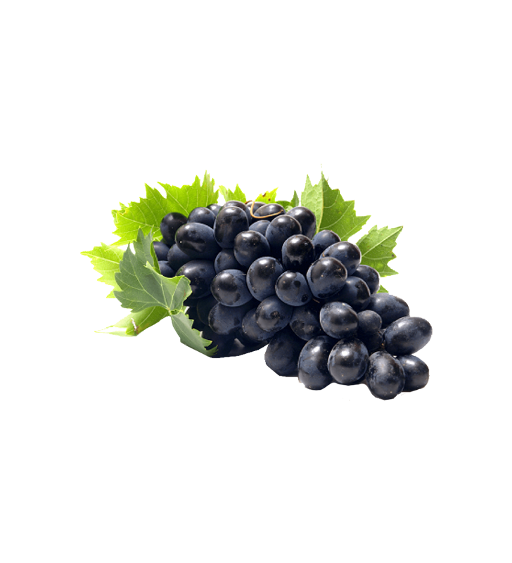 Fruits