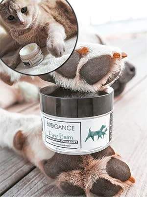 Laits et Alimentation Chiens