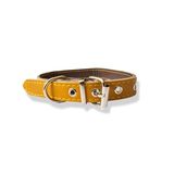 Stray dog leather collar 46cm pg0003
